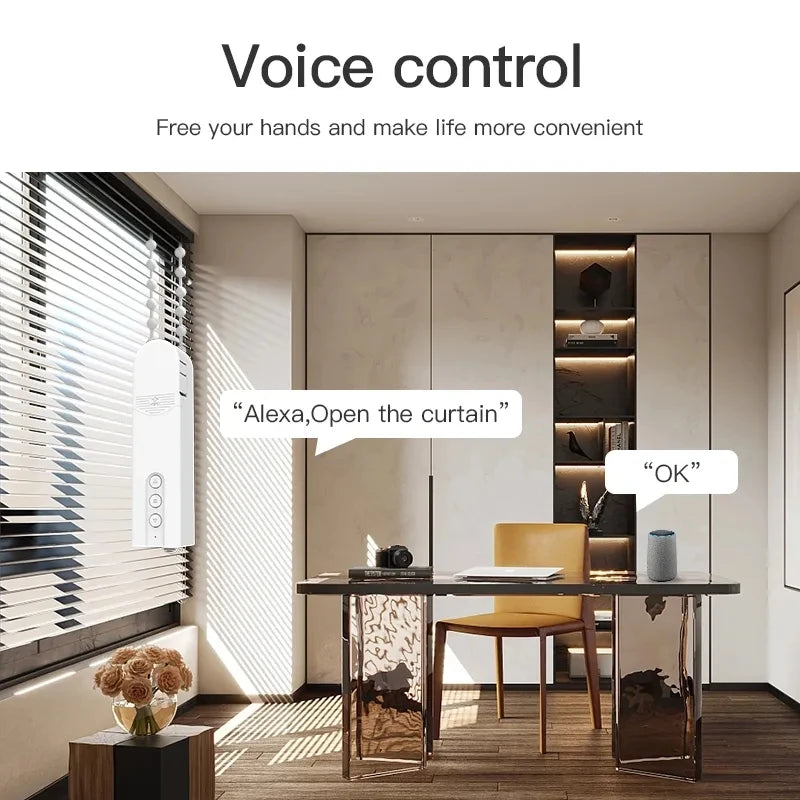 Smart Roller Curtain Motor Pro